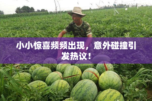 小小惊喜频频出现，意外碰撞引发热议！