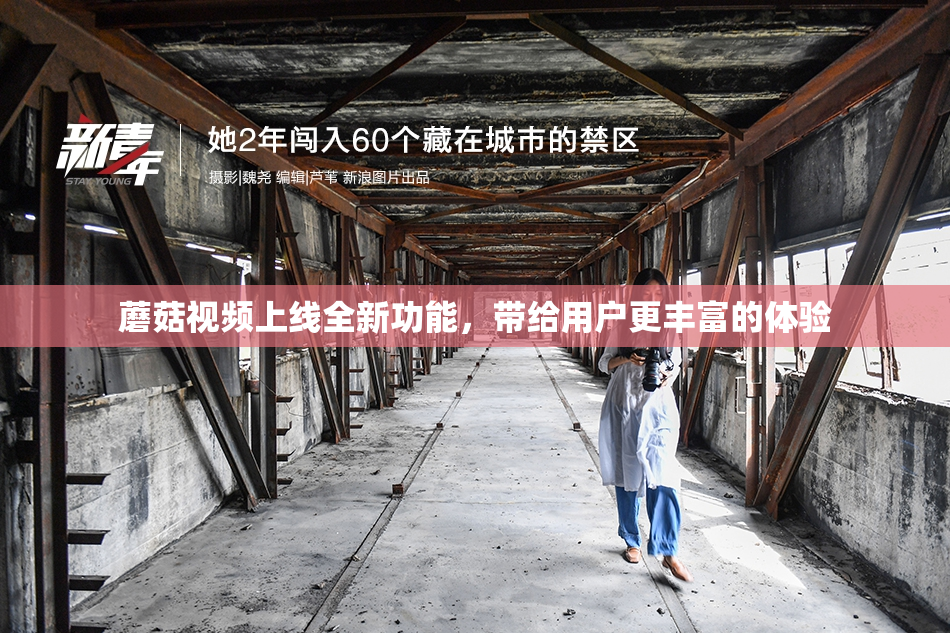 蘑菇视频上线全新功能，带给用户更丰富的体验