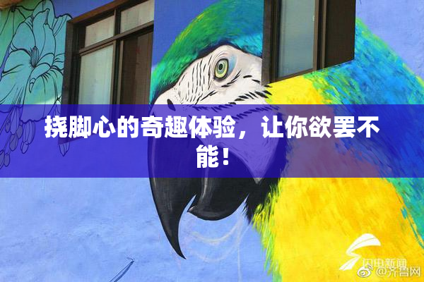挠脚心的奇趣体验，让你欲罢不能！