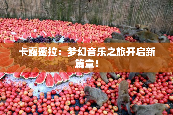 卡露蜜拉：梦幻音乐之旅开启新篇章！