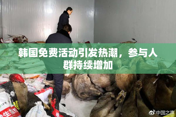韩国免费活动引发热潮，参与人群持续增加