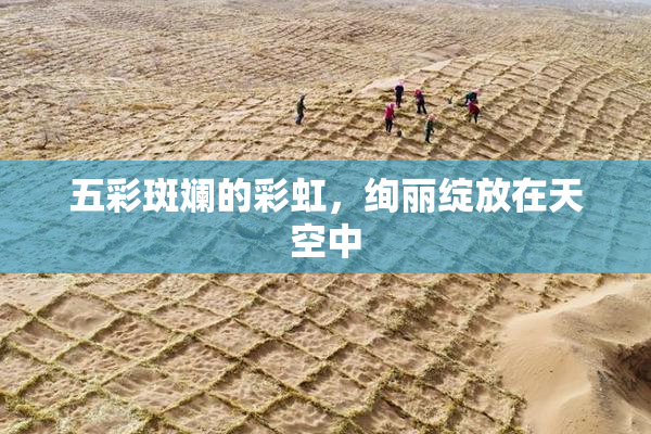 五彩斑斓的彩虹，绚丽绽放在天空中
