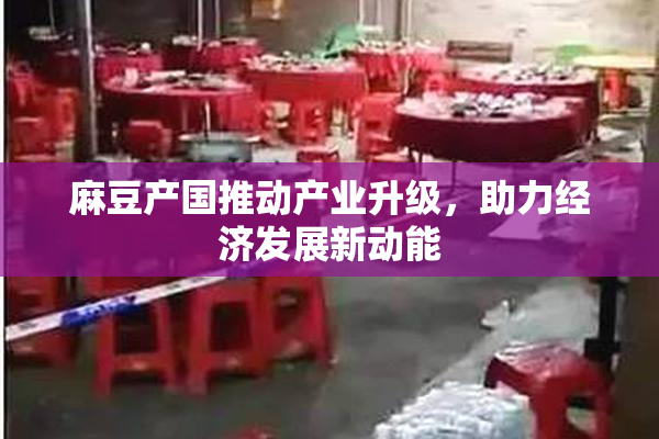麻豆产国推动产业升级，助力经济发展新动能