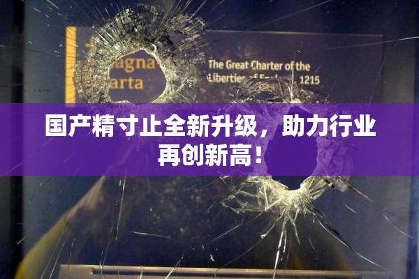 国产精寸止全新升级，助力行业再创新高！