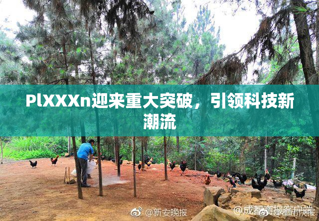PlXXXn迎来重大突破，引领科技新潮流