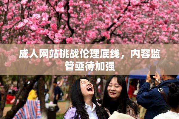 成人网站挑战伦理底线，内容监管亟待加强