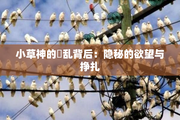 小草神的婬乱背后：隐秘的欲望与挣扎