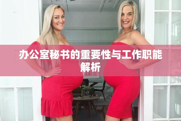 办公室秘书的重要性与工作职能解析