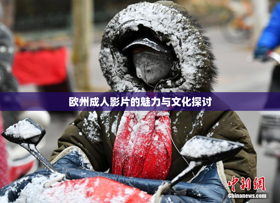 欧州成人影片的魅力与文化探讨