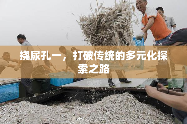 挠尿孔一，打破传统的多元化探索之路