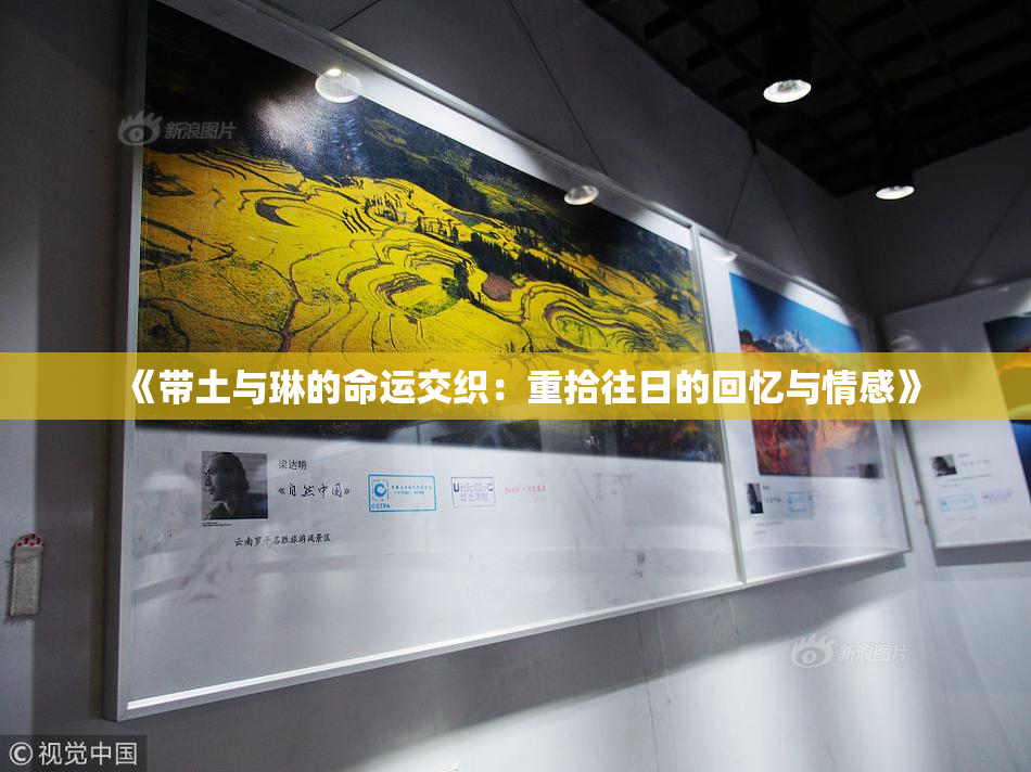 《带土与琳的命运交织：重拾往日的回忆与情感》