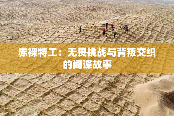 赤裸特工：无畏挑战与背叛交织的间谍故事