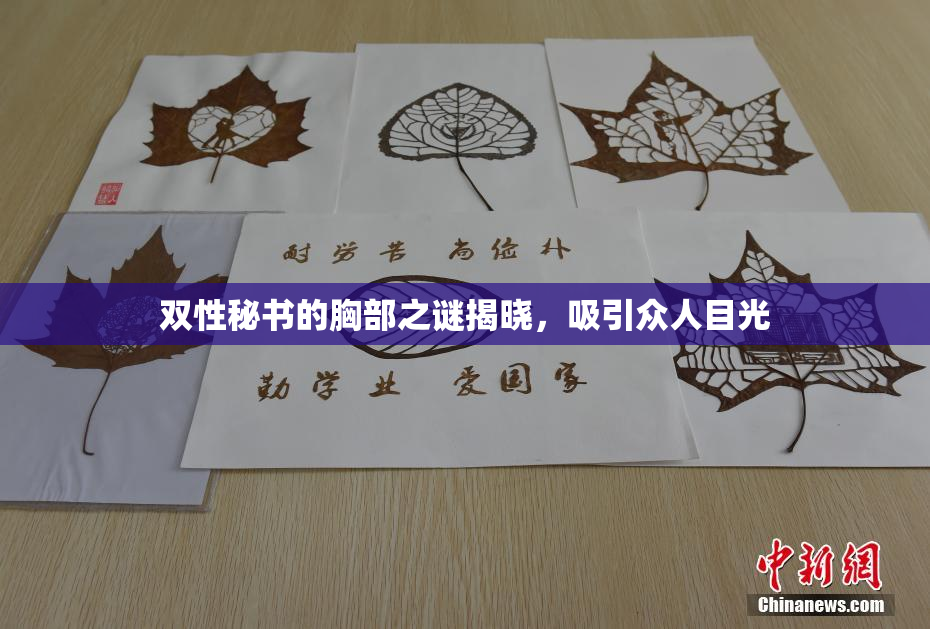 双性秘书的胸部之谜揭晓，吸引众人目光