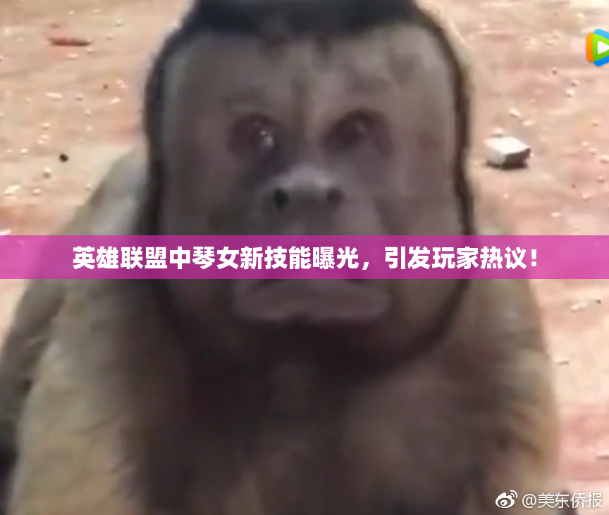 英雄联盟中琴女新技能曝光，引发玩家热议！