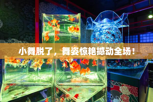 小舞脱了，舞姿惊艳撼动全场！