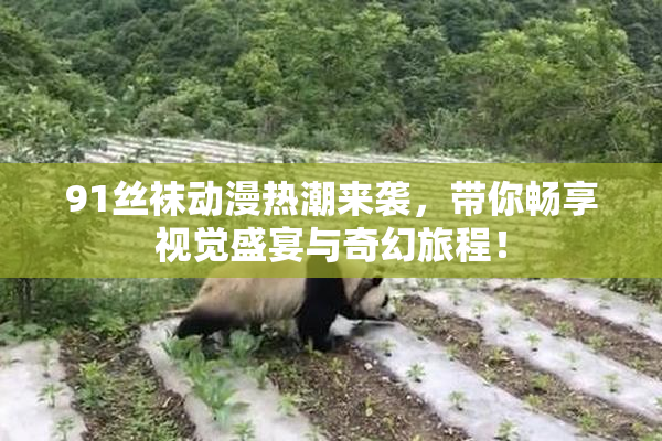 91丝袜动漫热潮来袭，带你畅享视觉盛宴与奇幻旅程！