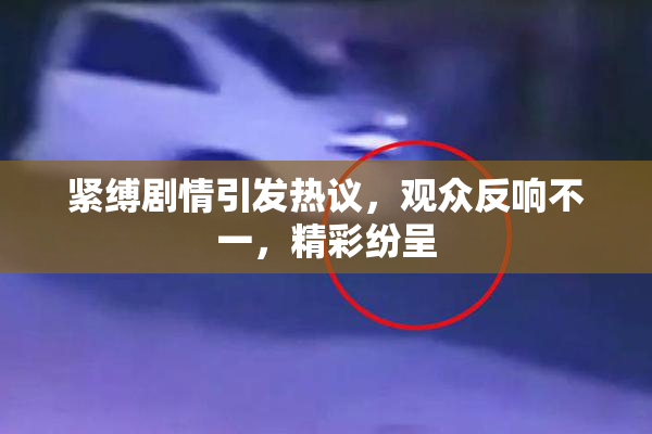 紧缚剧情引发热议，观众反响不一，精彩纷呈