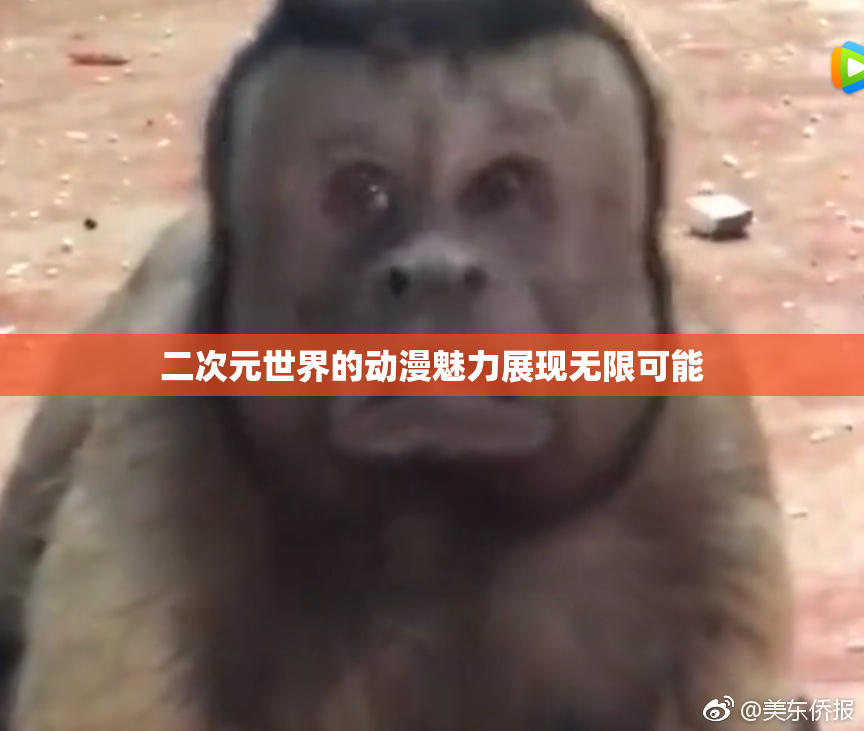 二次元世界的动漫魅力展现无限可能