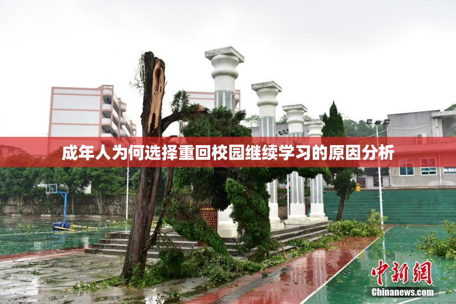 成年人为何选择重回校园继续学习的原因分析