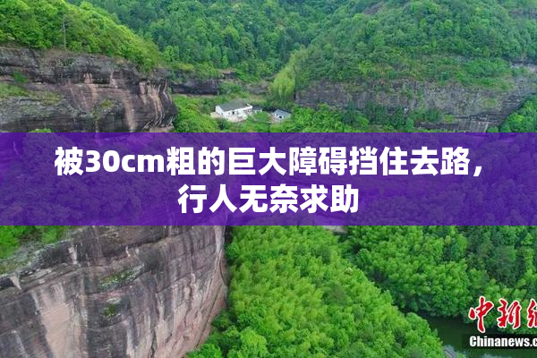 被30cm粗的巨大障碍挡住去路，行人无奈求助