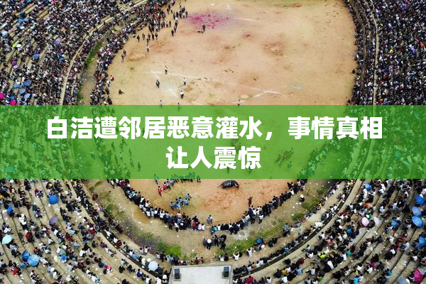 白洁遭邻居恶意灌水，事情真相让人震惊