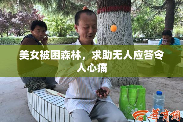 美女被困森林，求助无人应答令人心痛