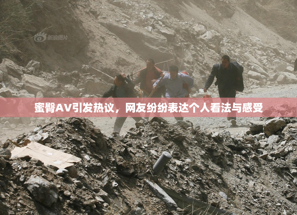 蜜臀AV引发热议，网友纷纷表达个人看法与感受
