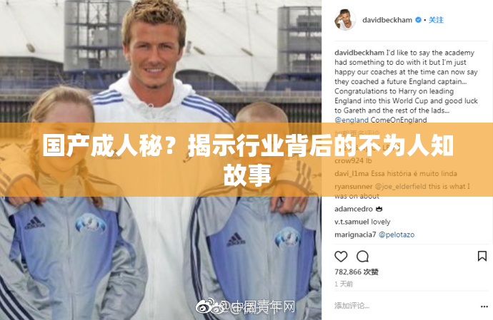 国产成人秘？揭示行业背后的不为人知故事