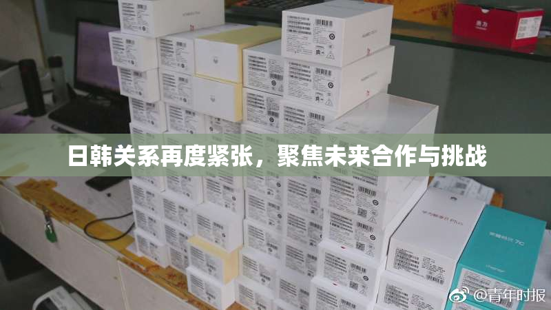 日韩关系再度紧张，聚焦未来合作与挑战