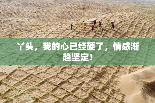 丫头，我的心已经硬了，情感渐趋坚定！