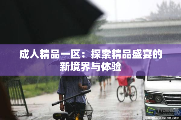 成人精品一区：探索精品盛宴的新境界与体验