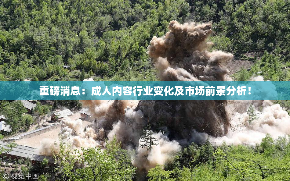 重磅消息：成人内容行业变化及市场前景分析！