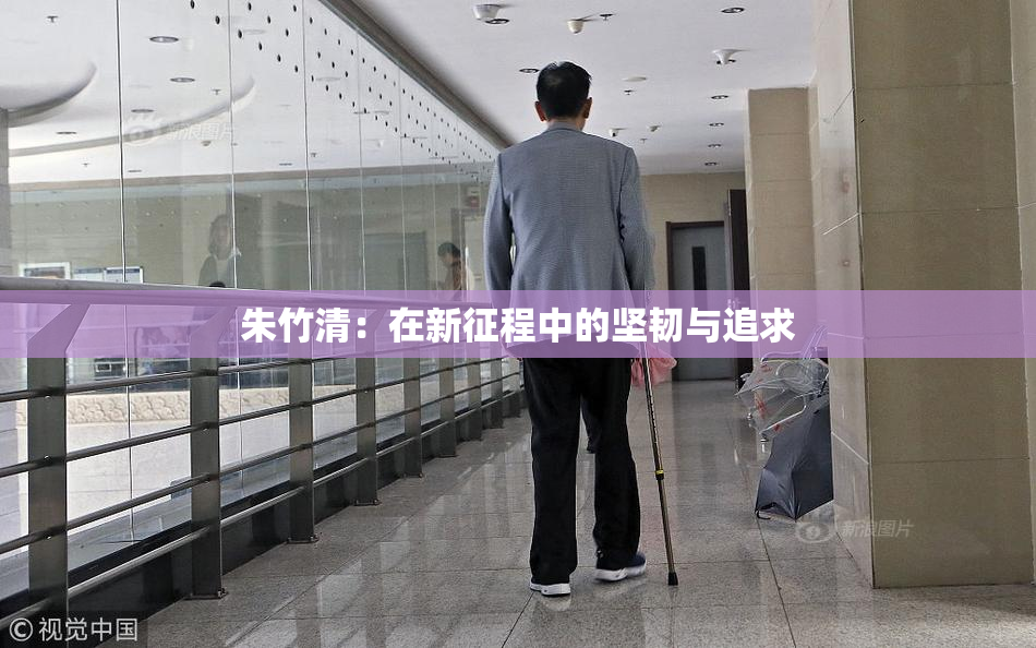 朱竹清：在新征程中的坚韧与追求