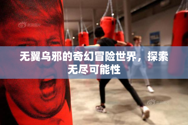 无翼乌邪的奇幻冒险世界，探索无尽可能性