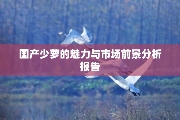 国产少萝的魅力与市场前景分析报告