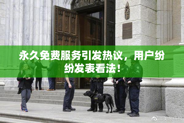 永久免费服务引发热议，用户纷纷发表看法！