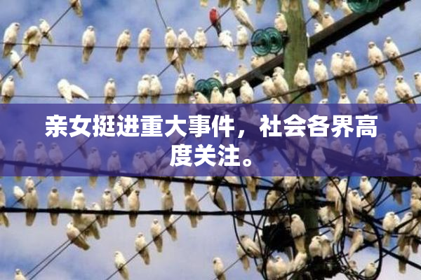 亲女挺进重大事件，社会各界高度关注。