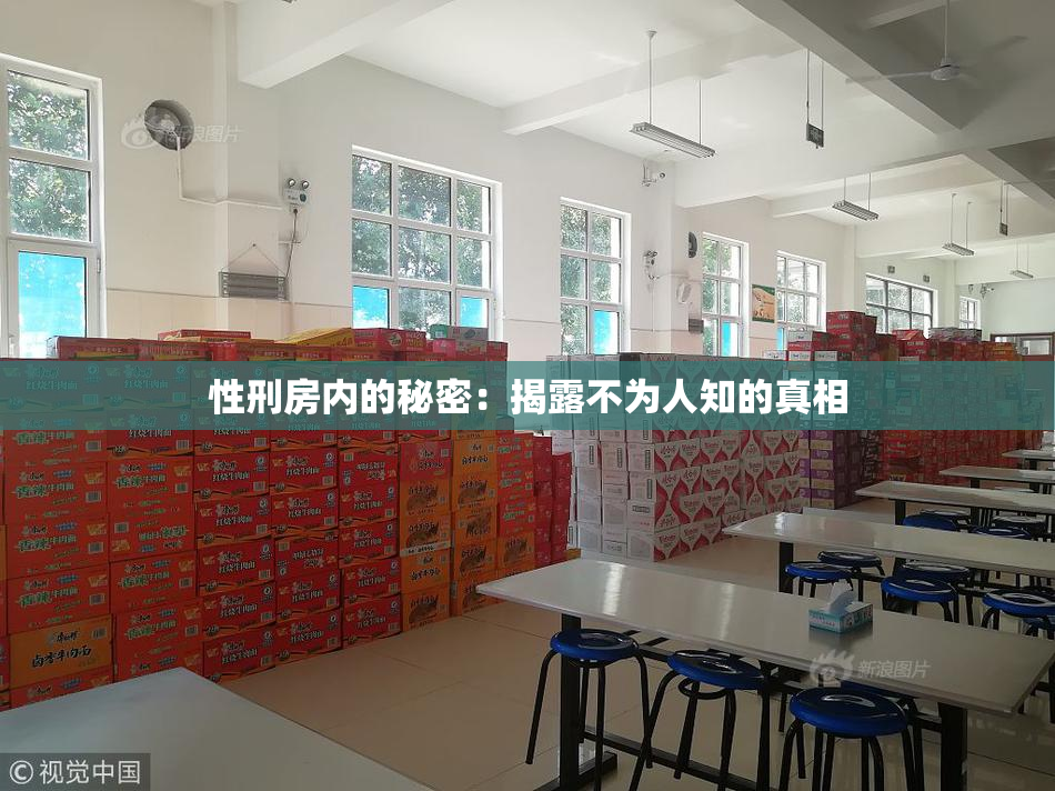 性刑房内的秘密：揭露不为人知的真相