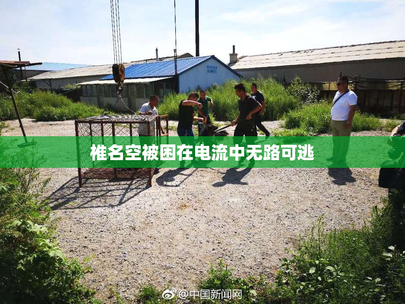 椎名空被困在电流中无路可逃