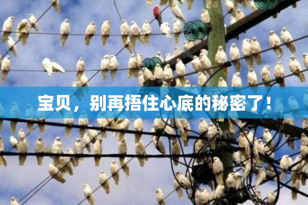 宝贝，别再捂住心底的秘密了！