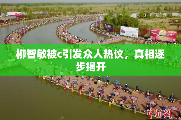 柳智敏被c引发众人热议，真相逐步揭开