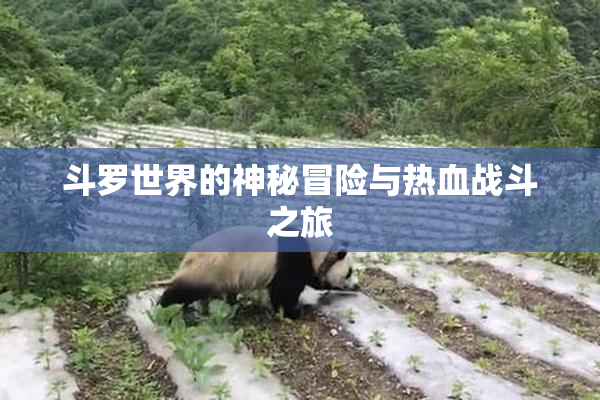 斗罗世界的神秘冒险与热血战斗之旅