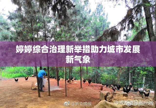婷婷综合治理新举措助力城市发展新气象