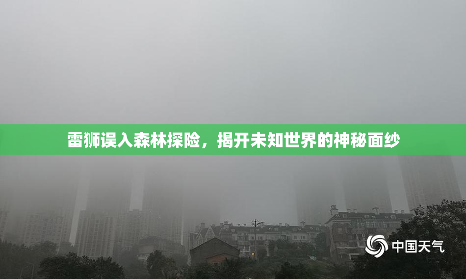 雷狮误入森林探险，揭开未知世界的神秘面纱