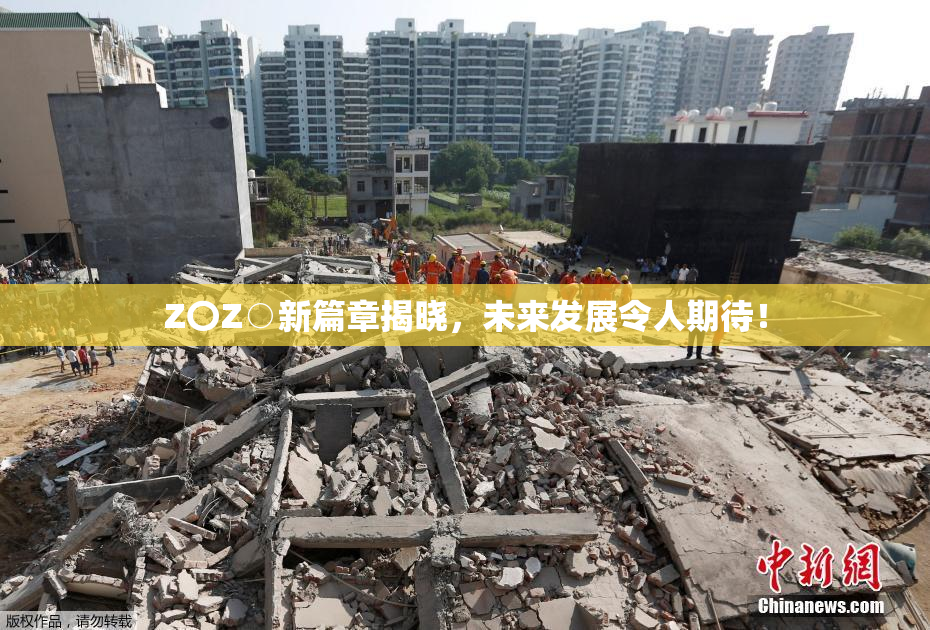 Z〇Z○新篇章揭晓，未来发展令人期待！