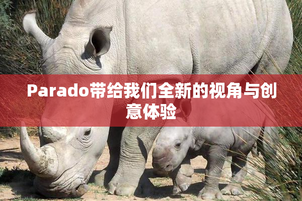 Parado带给我们全新的视角与创意体验