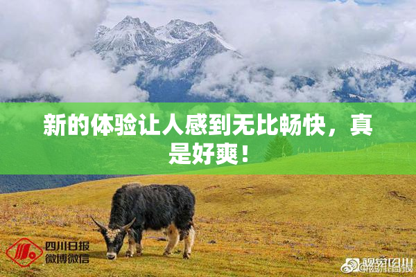 新的体验让人感到无比畅快，真是好爽！