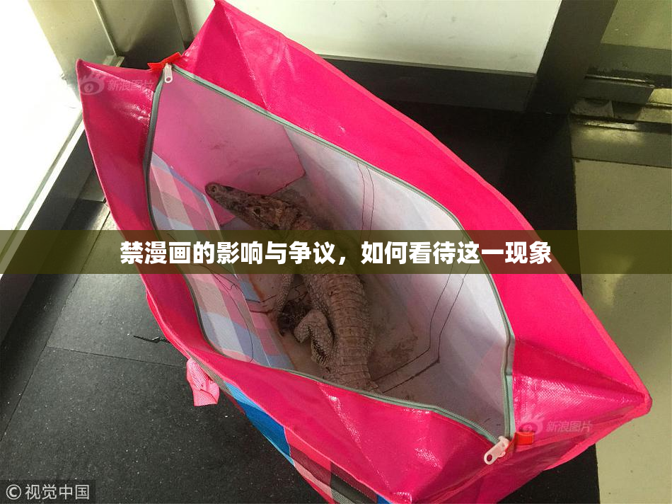 禁漫画的影响与争议，如何看待这一现象