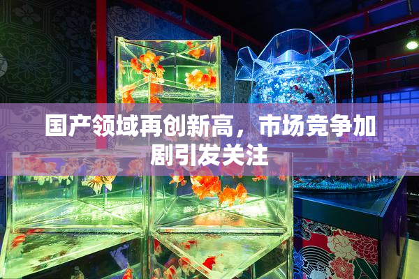 国产领域再创新高，市场竞争加剧引发关注