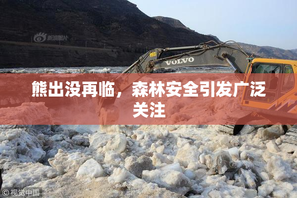 熊出没再临，森林安全引发广泛关注